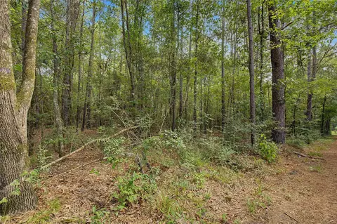 0 Bilnoski Rd, Willis, TX 77378 photo 32