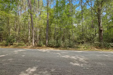 0 Bilnoski Rd, Willis, TX 77378 photo 33