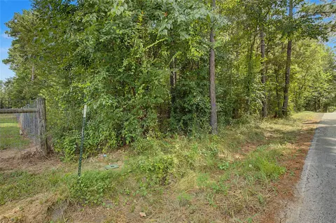 0 Bilnoski Rd, Willis, TX 77378 photo 26