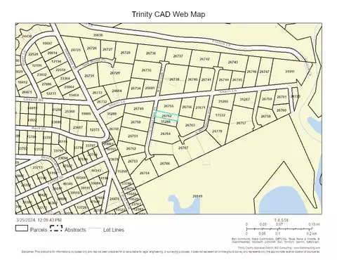 129 S Post Oak Pt, Trinity, TX 75862 photo 7