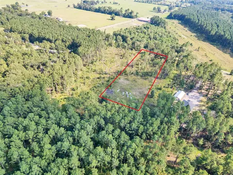 211 Thomas Windt Rd, Shepherd, TX 77371