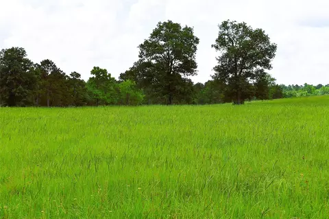 8034 E County Road 212, Buffalo, TX 75831