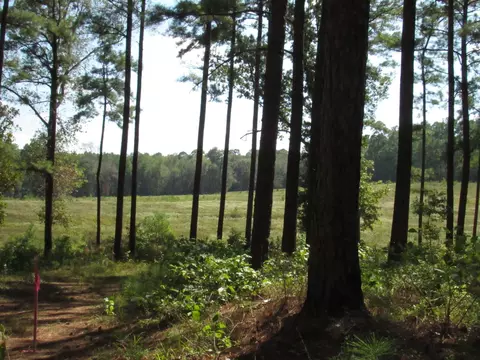 010 Fm 256 N, Woodville, TX 75979