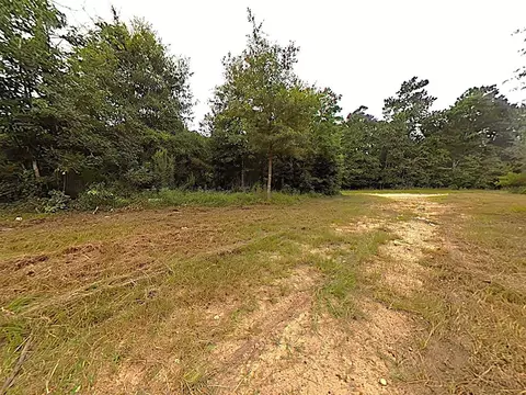 286 Stacy Wiggins Dr, Livingston, TX 77351