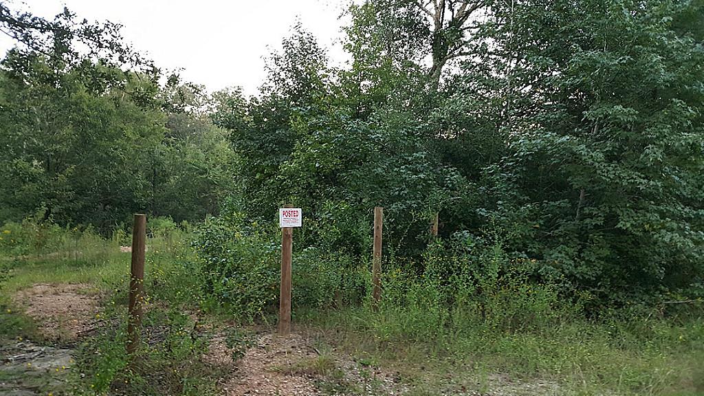 5635 Bee Creek Dr, Willis, TX 77378 photo 1