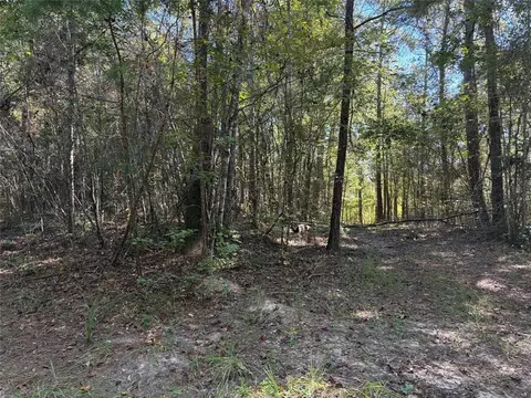 1843 Sullivan Rd, Corrigan, TX 75939 photo 1