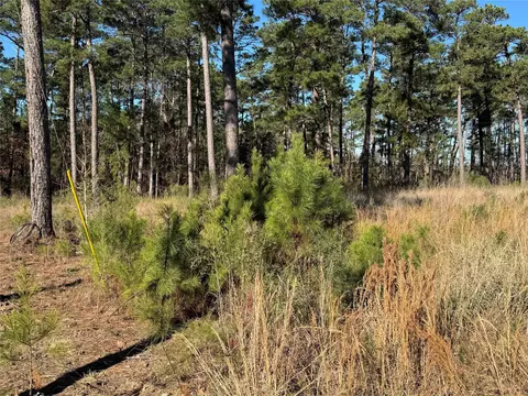 030 Private Road 6026, Brookeland, TX 75931