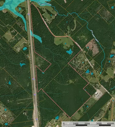 Tba Vick Spring Road, New Waverly, TX 77358