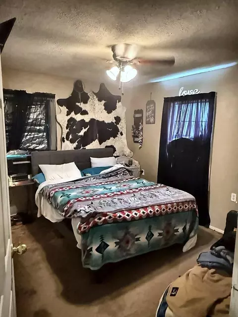 101 Elm St, Daisetta, TX 77533 photo 4