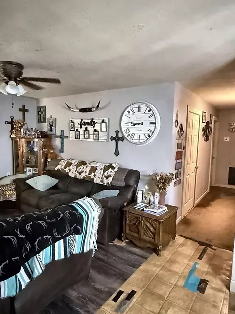 101 Elm St, Daisetta, TX 77533 photo 9