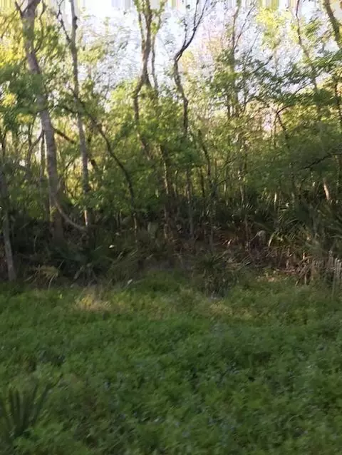 0 E Live Oak Rd, Van Vleck, TX 77482