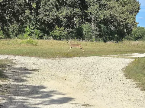 lot15 Monticello St, Trinity, TX 75862 photo 8