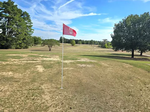 lot15 Monticello St, Trinity, TX 75862 photo 10