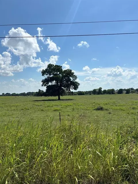 Other - 585 Industrial Park Blvd, Trinity, TX 75862 photo 19 of 20
