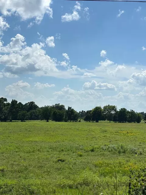 Other - 585 Industrial Park Blvd, Trinity, TX 75862 photo 15 of 20