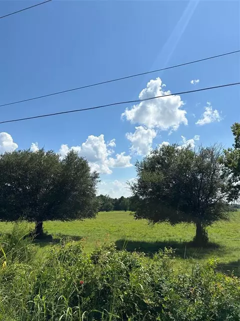 Other - 585 Industrial Park Blvd, Trinity, TX 75862 photo 14 of 20