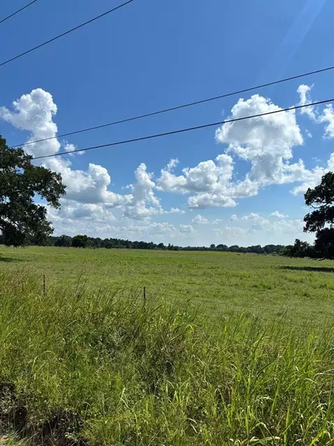 Other - 585 Industrial Park Blvd, Trinity, TX 75862 photo 20 of 20