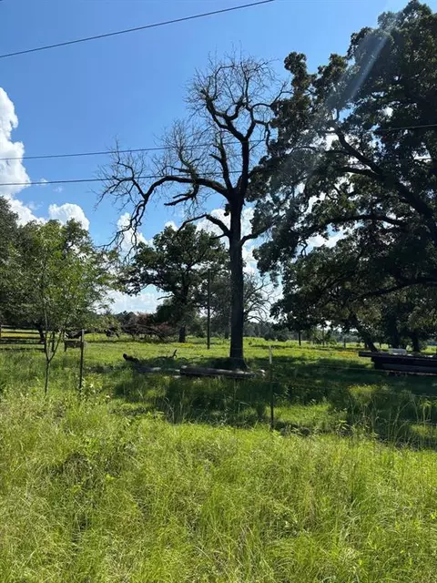 Other - 585 Industrial Park Blvd, Trinity, TX 75862 photo 18 of 20
