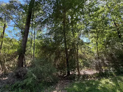 28 Laurel Oak, Trinity, TX 75862