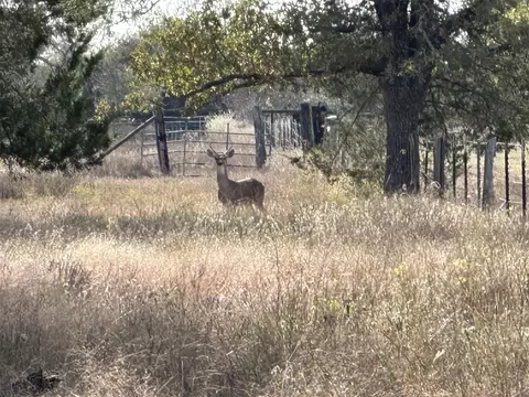 489 Fm 60 E, Somerville, TX 77879 photo 14