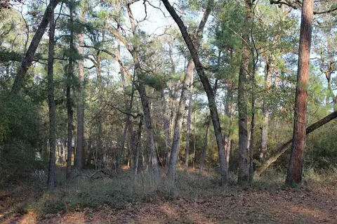 327 Coral Gables, Trinity, TX 75862 photo 3