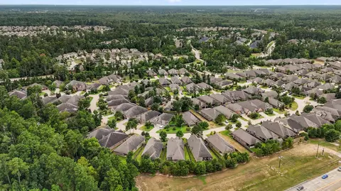 View/Area - 241 Trillium Park Loop, Conroe, TX 77304 photo 3 of 7