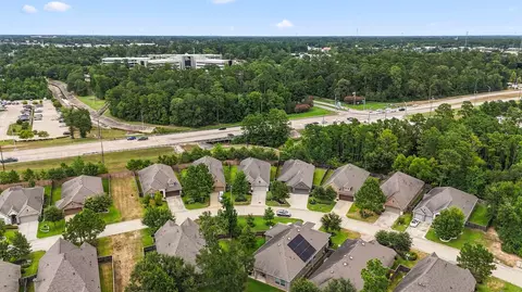 View/Area - 241 Trillium Park Loop, Conroe, TX 77304 photo 4 of 7