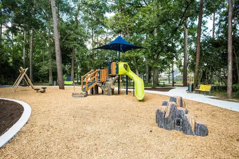View/Area - 241 Trillium Park Loop, Conroe, TX 77304 photo 6 of 7