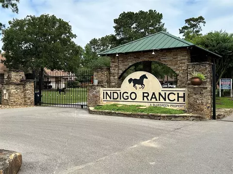 17103 Indigo Hills Dr, Magnolia, TX 77355