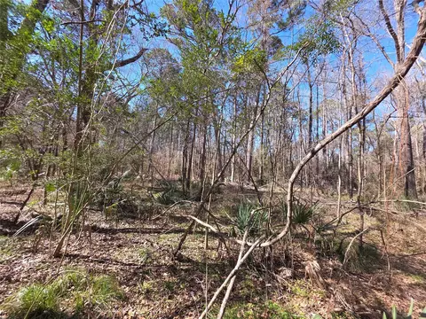 tbd Blanks Bnd, Coldspring, TX 77331