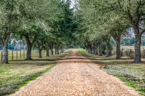 16450 Mathis Rd, Waller, TX 77484