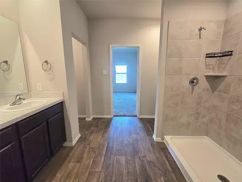 Bath - 20811 Olive Leaf St, New Caney, TX 77357 photo 3 of 3