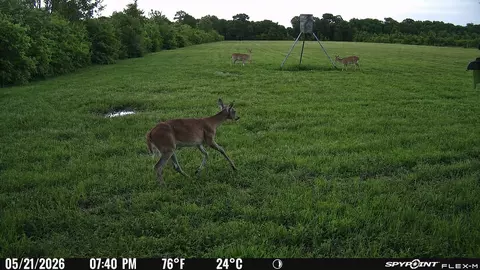 Other - 2240 Meyer Rd, Beasley, TX 77417 photo 3 of 7