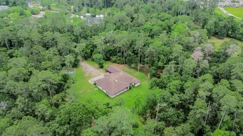 View/Area - 24387 Lenze Rd, Spring, TX 77389 photo 3 of 4