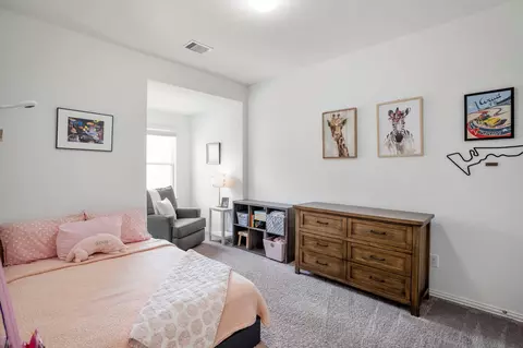 Bedroom - 29522 Whitebrush Trace Dr, Spring, TX 77386 photo 5 of 6