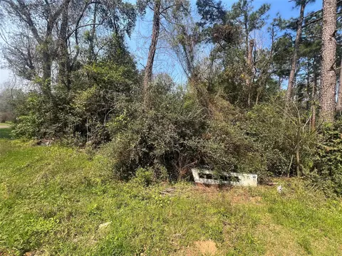 tbd Red Fox Ln, Coldspring, TX 77331 photo 2