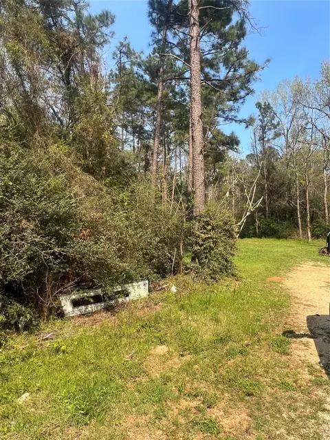 tbd Red Fox Ln, Coldspring, TX 77331 photo 6