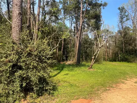 tbd Red Fox Ln, Coldspring, TX 77331 photo 7