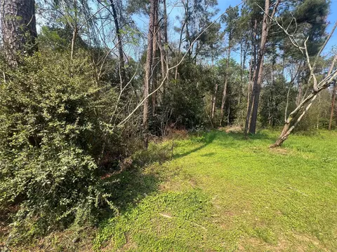 tbd Red Fox Ln, Coldspring, TX 77331 photo 3