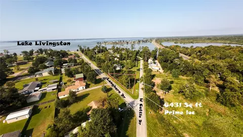 186 N Cattle Dr, Onalaska, TX 77360