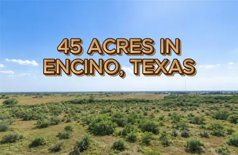 7307 S 7261 S Highway 281, Encino, TX 78353