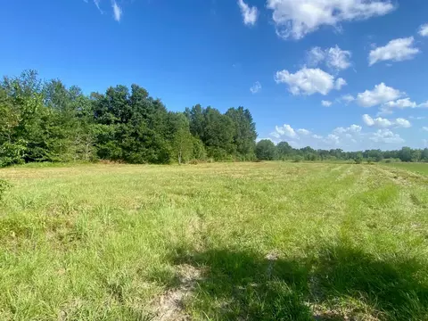 lot Apt 134 Jb Mcduff Dr, Crockett, TX 75835