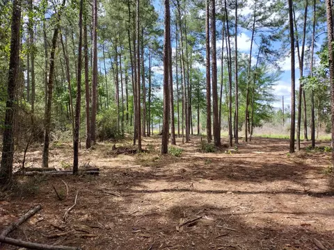 lot3 County Road 4025, Lovelady, TX 75851