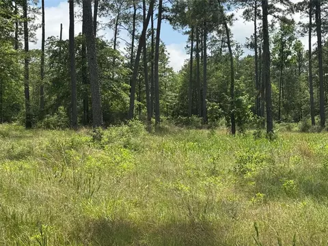 011 Private Road 6028, Brookeland, TX 75931