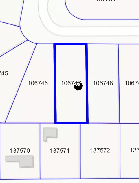 25808 Essex, New Caney, TX 77357