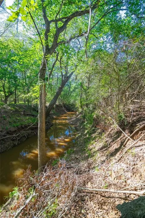 0 Sparta Field Rd, Waelder, TX 78959