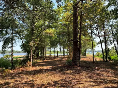 3196 Shadow Pine Lot 46 Dr, Larue, TX 75770