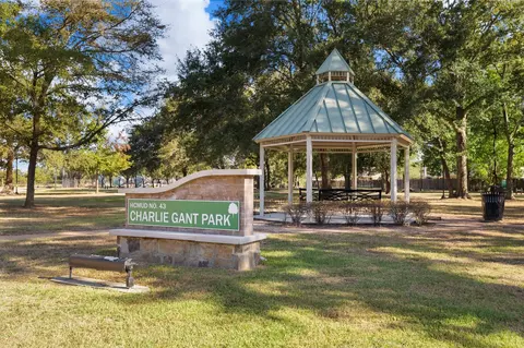 Other - 23826 Lestergate Dr, Spring, TX 77373 photo 7 of 9