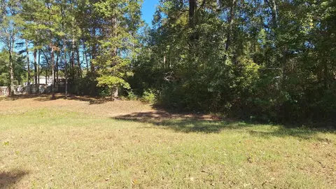 185 Amber Ln, Livingston, TX 77351