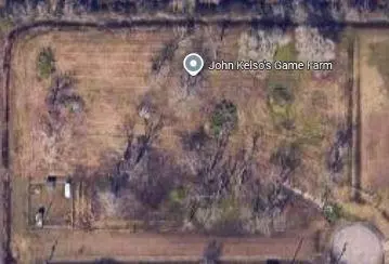 5302 Tree Point Rd, Santa Fe, TX 77510